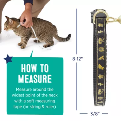 Product Whisker City® Gold Egyptian Easy Release Kitten & Cat Collar