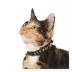 Whisker City® Gold Egyptian Easy Release Kitten & Cat Collar image thumbnail 2