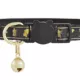 Product Whisker City® Gold Egyptian Easy Release Kitten & Cat Collar