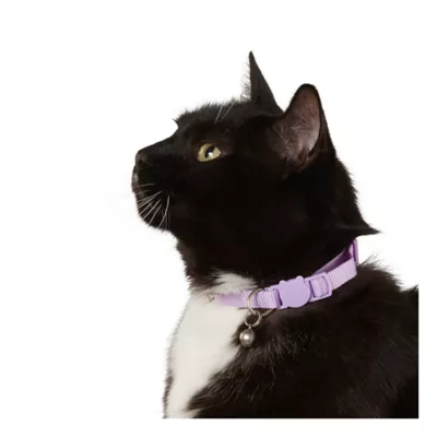 Product Whisker City® Lavender Easy Release Kitten & Cat Collar