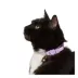 Whisker City® Lavender Easy Release Kitten & Cat Collar image thumbnail 2