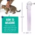 Whisker City® Lavender Easy Release Kitten & Cat Collar image thumbnail 5
