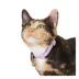 Whisker City® Lavender Easy Release Kitten & Cat Collar image thumbnail 2