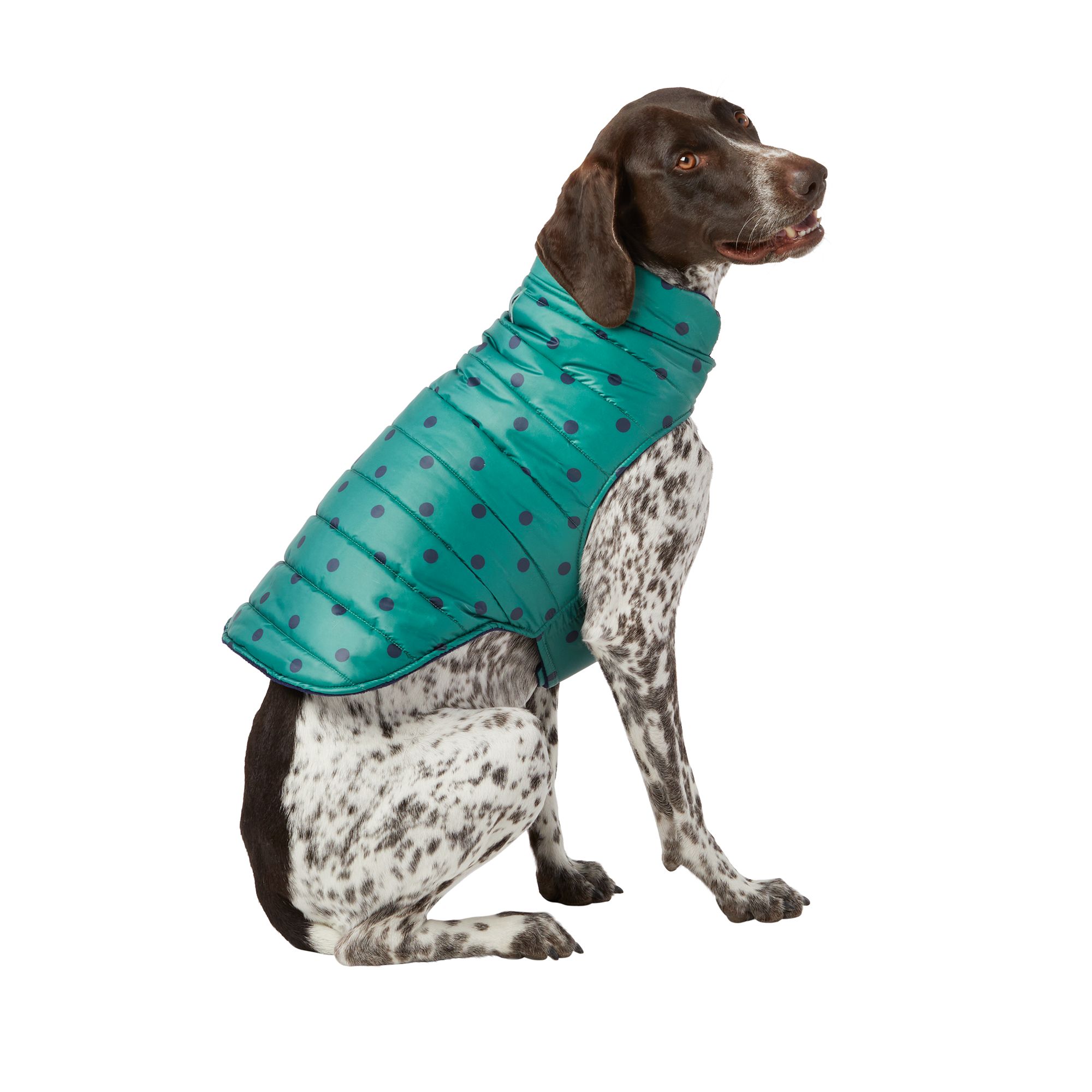 Luv Gear Puffy Dog Coat Jacket w/ColdAlert® Patch-Repel Moisture