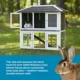 Product Prevue Pet Products Rabbit Hutch Duplex