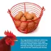 Prevue Pet Products Egg Basket image thumbnail 2