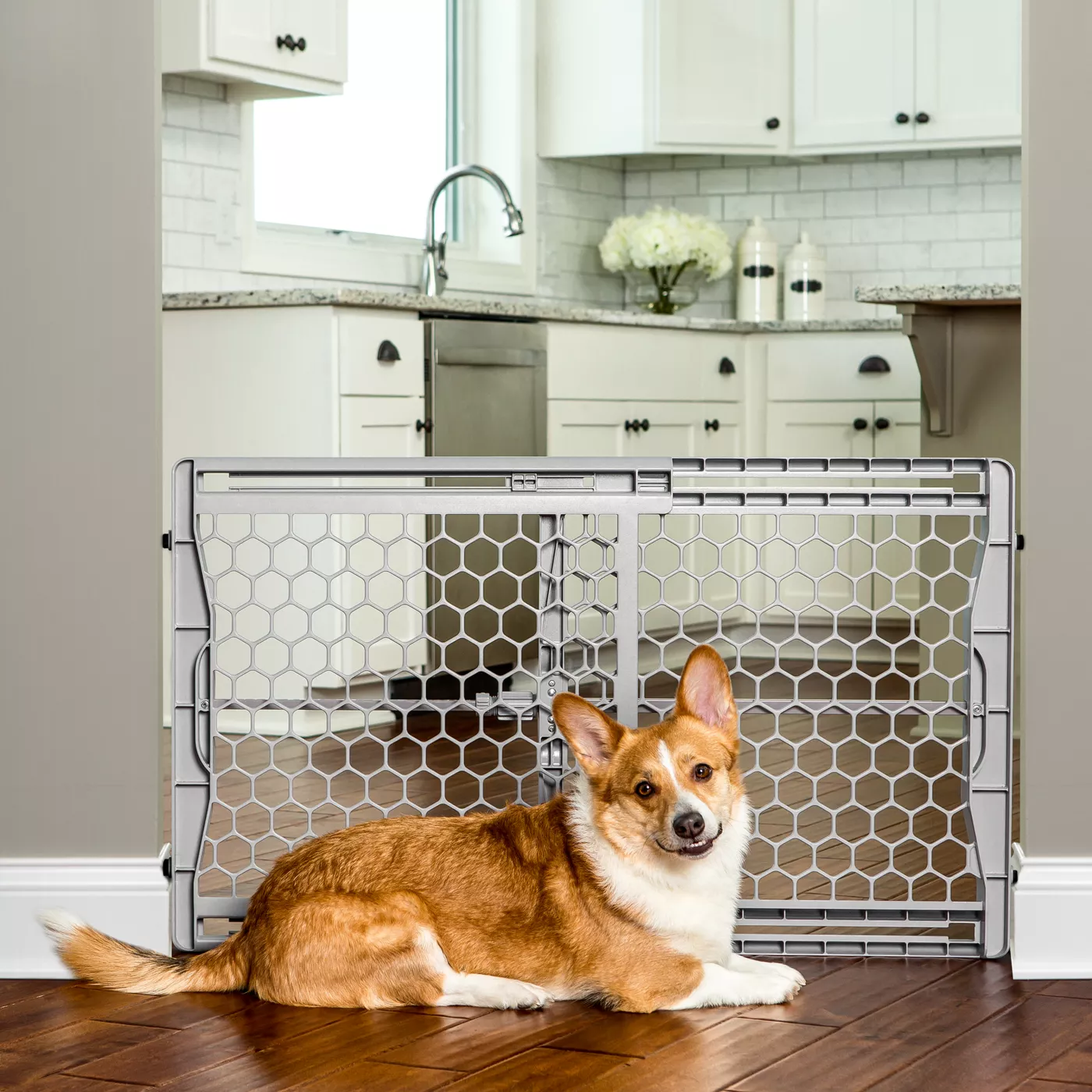 Top Paw Expandable Plastic Pet Gate