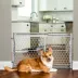 Top Paw® Expandable Plastic Pet Gate image thumbnail 4