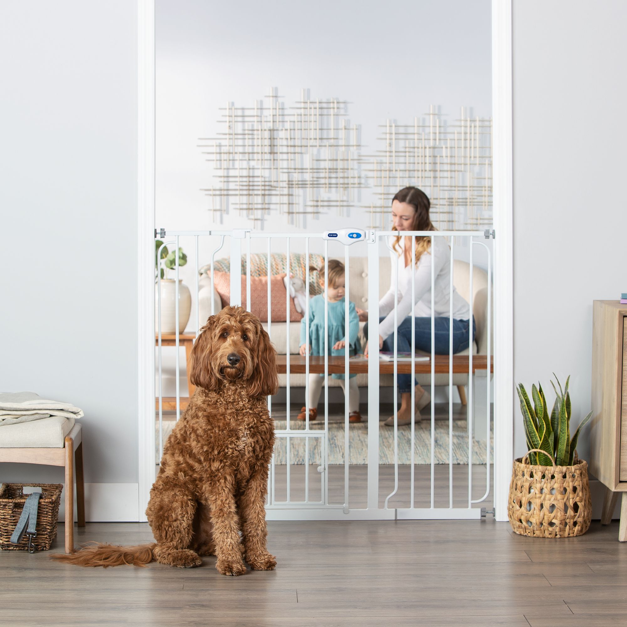 Petsmart best sale pet gate