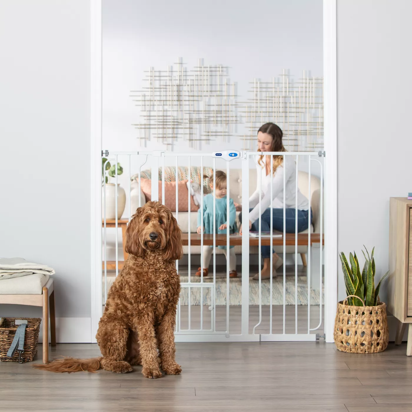 Dog helping dog over gate hotsell