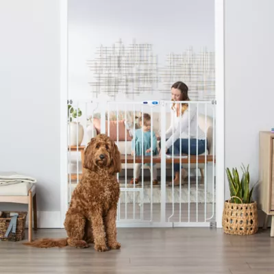 Top Paw Extra Tall Walk Through Pet Gate