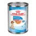 Royal Canin Size Health Nutrition Medium Puppy Thin Slices in Gravy Wet Dog Food, 13 oz. image thumbnail 1