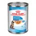 Royal Canin Size Health Nutrition Large Puppy Thin Slices in Gravy Wet Dog Food, 13 oz. image thumbnail 1