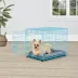 Top Paw® 24" Small Folding Crate - Leak Proof Tray, Collapsible, Pink & Blue image thumbnail 4