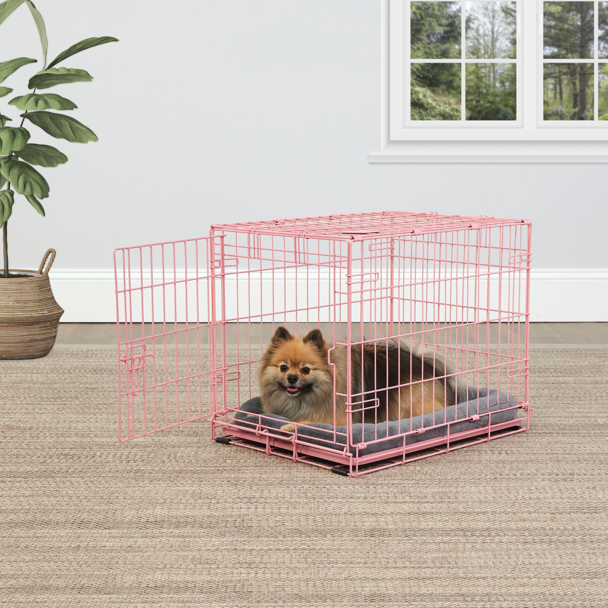 Top paw folding crate video clearance