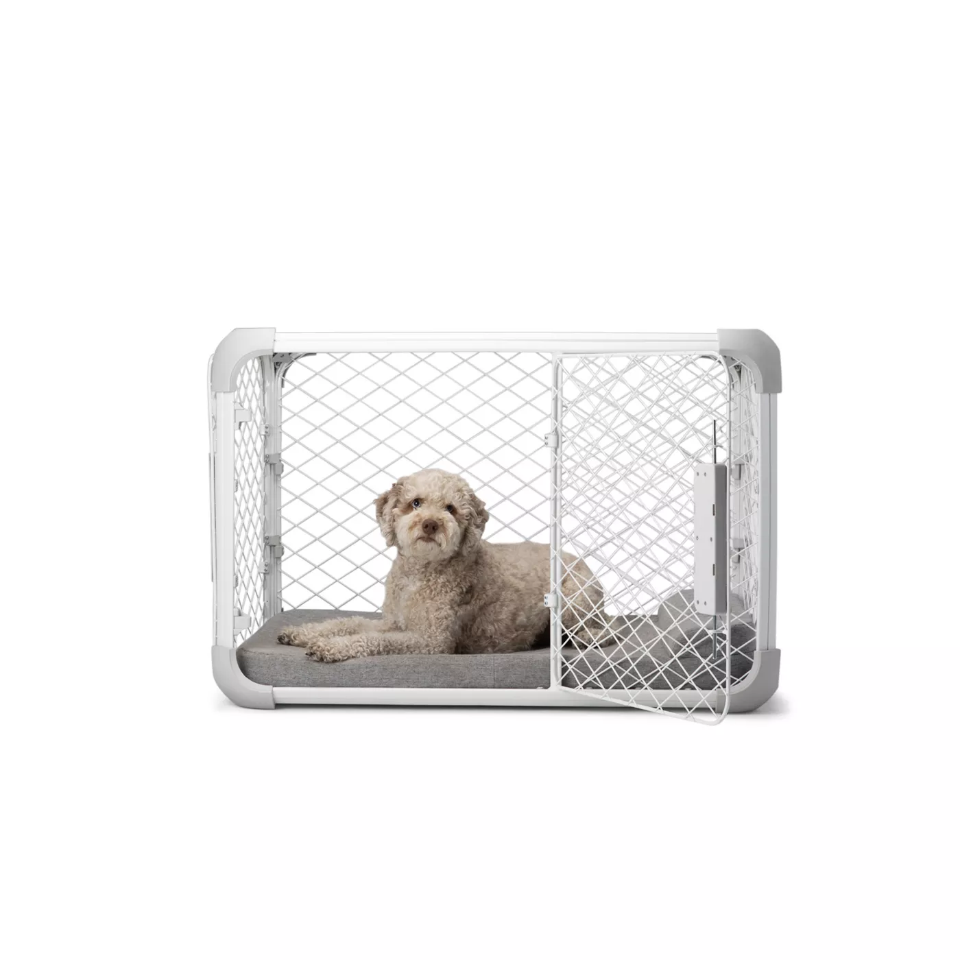 Diggs Evolv Dog Crate White