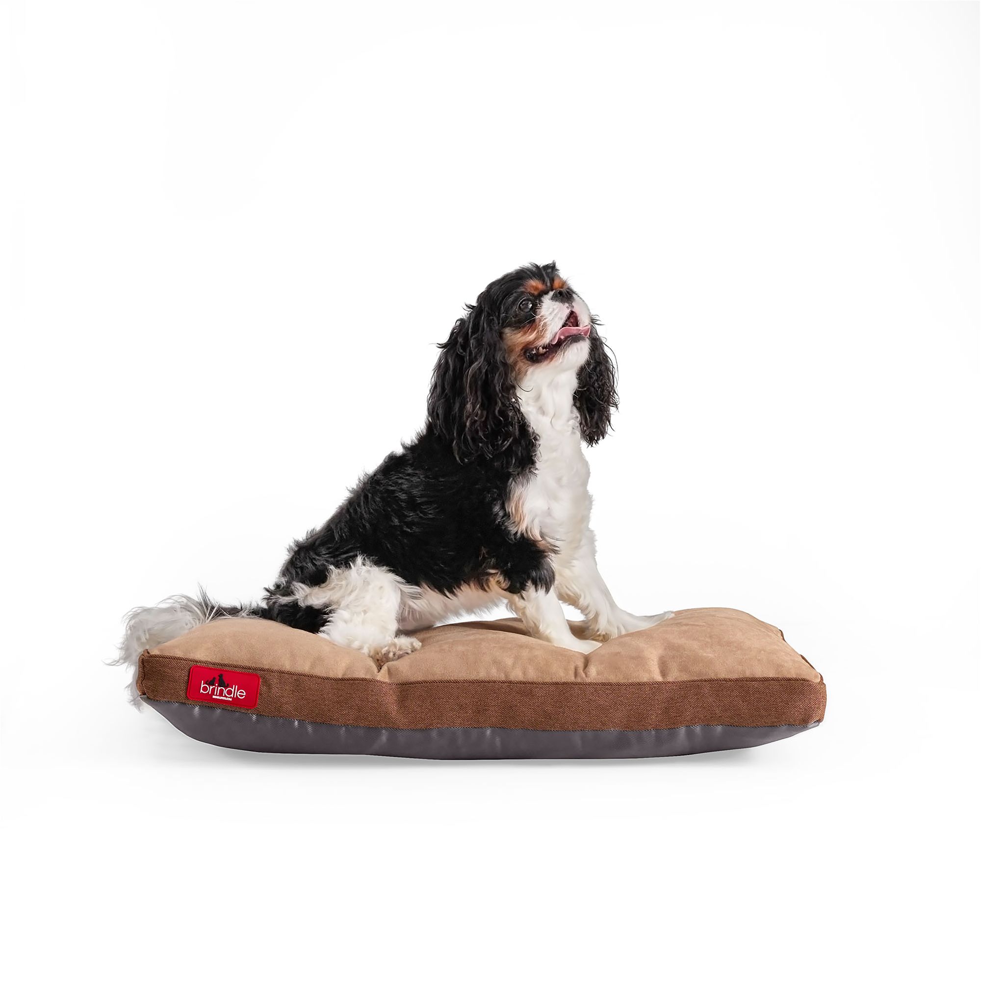 Brindle Orthopedic Shredded Memory Foam Crate Mat dog Mat & Crate