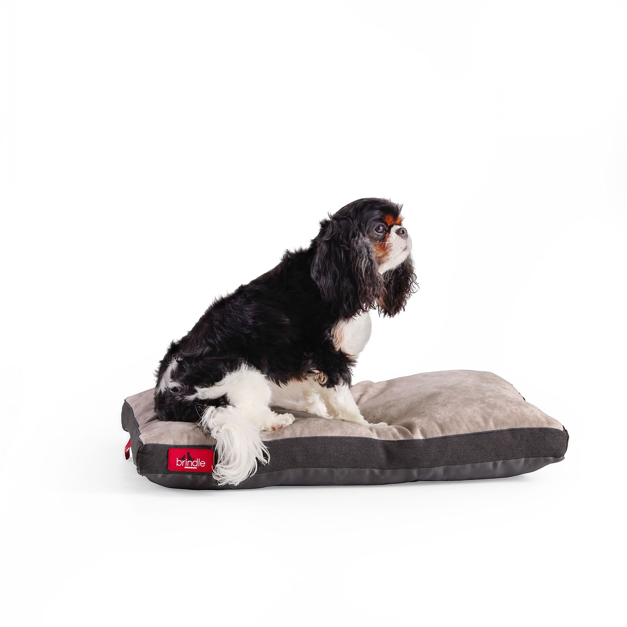 Brindle Orthopedic Shredded Memory Foam 40 x 26 Grey Dog Crate Mat | PetSmart