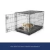 Top Paw® Plush Grey Dog Crate Mat - X-Small, Small, Medium, Large, X-Large, XX-Large image thumbnail 2