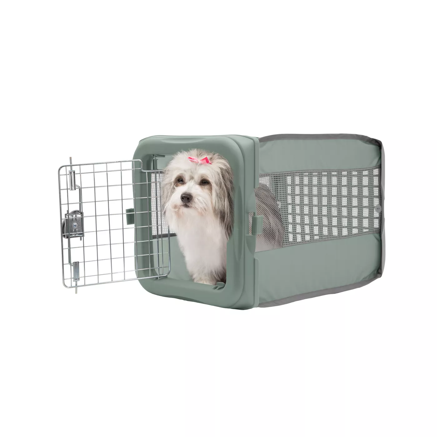 Dog small crate best sale