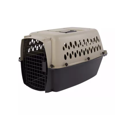 Top Paw Plastic Portable 19 x 12 x 10.5 Dog Kennel PetSmart