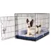 Chill Kuzzi Dual Bolster Crate Pad image thumbnail 4