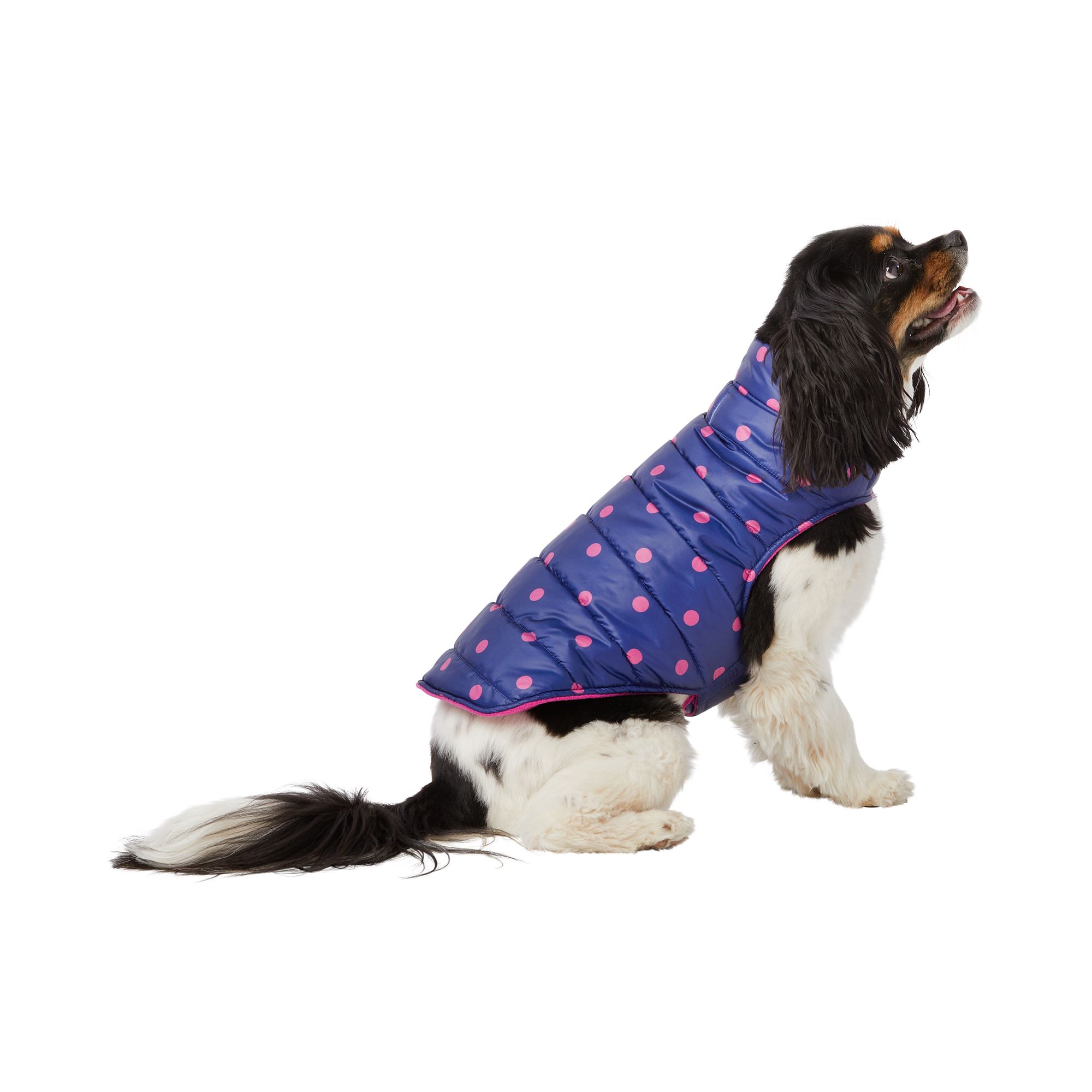 Petsmart best sale dog jackets