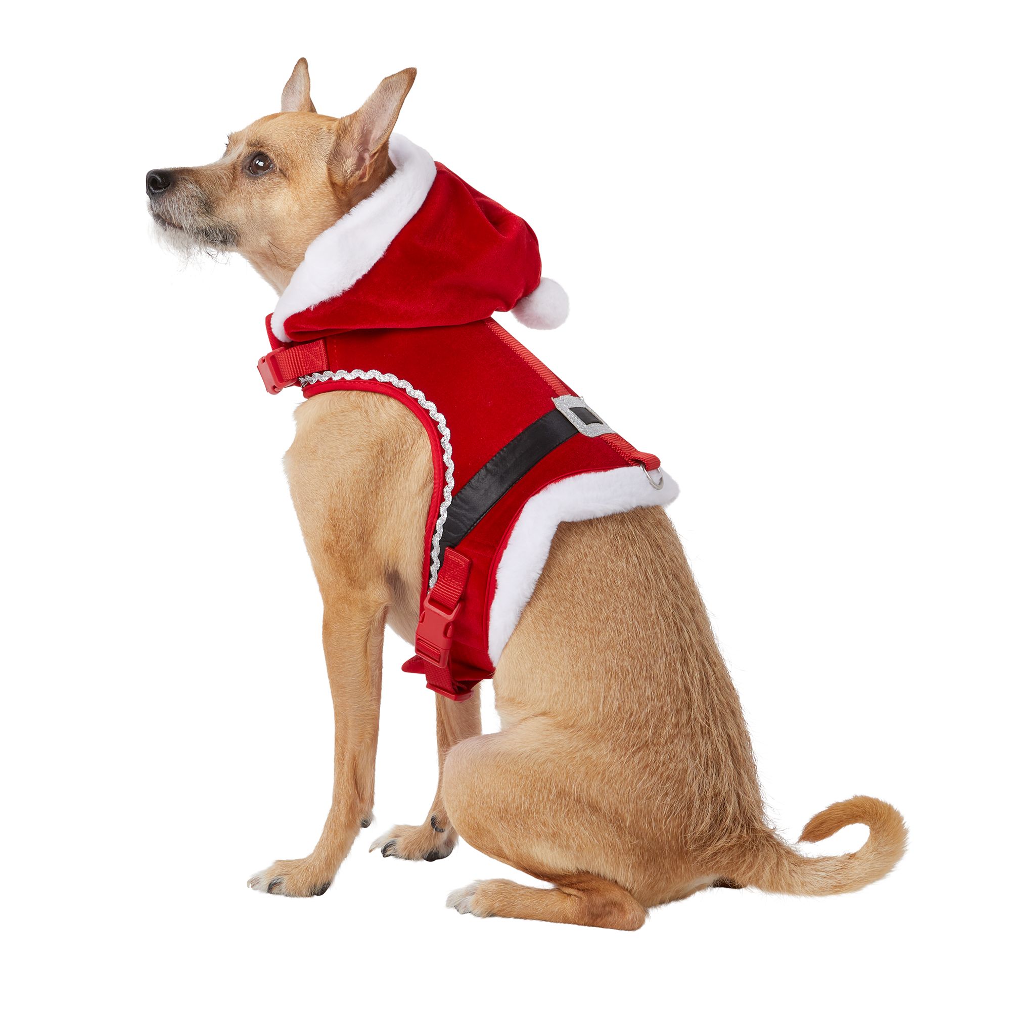 DY Loving Fashion Brand Pet Harness Set Adjustable Floral Grid Pattern Pet  Vest Leash Collar Outdoor Walking Pet Chest Strap for Pet Dog Cat ShihTzu