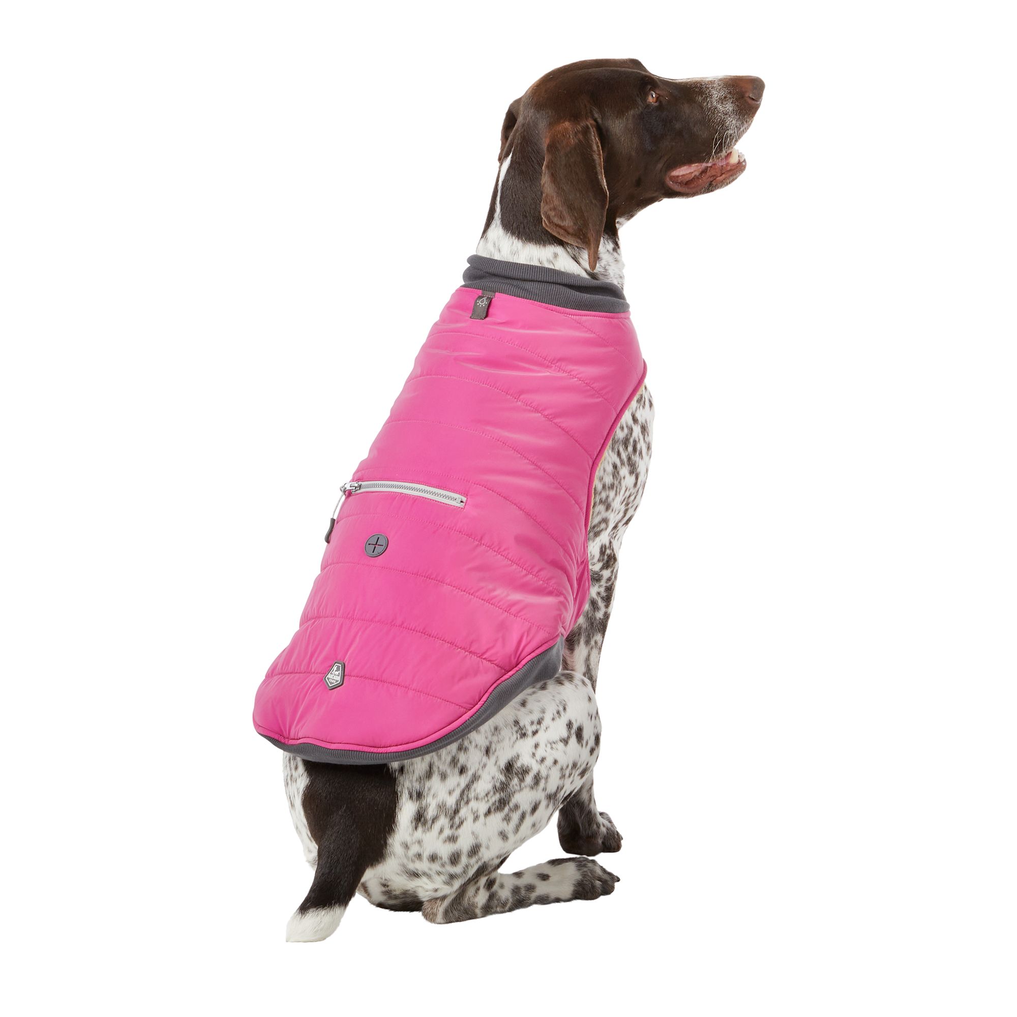 Petsmart dog coat sale