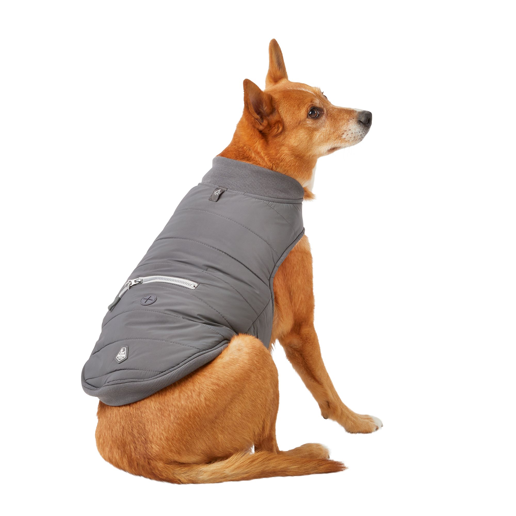 Thunder jacket for hot sale dogs petsmart