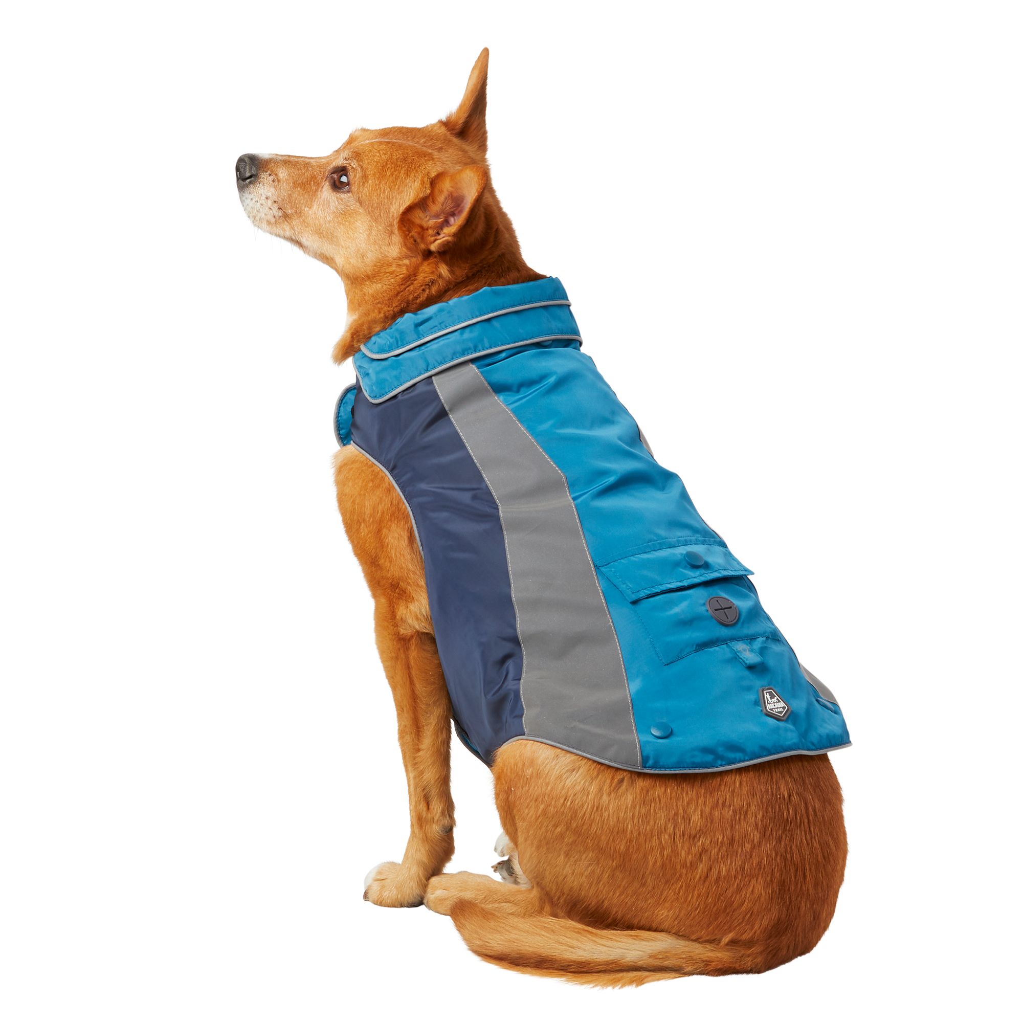 Raincoats for store dogs at petsmart