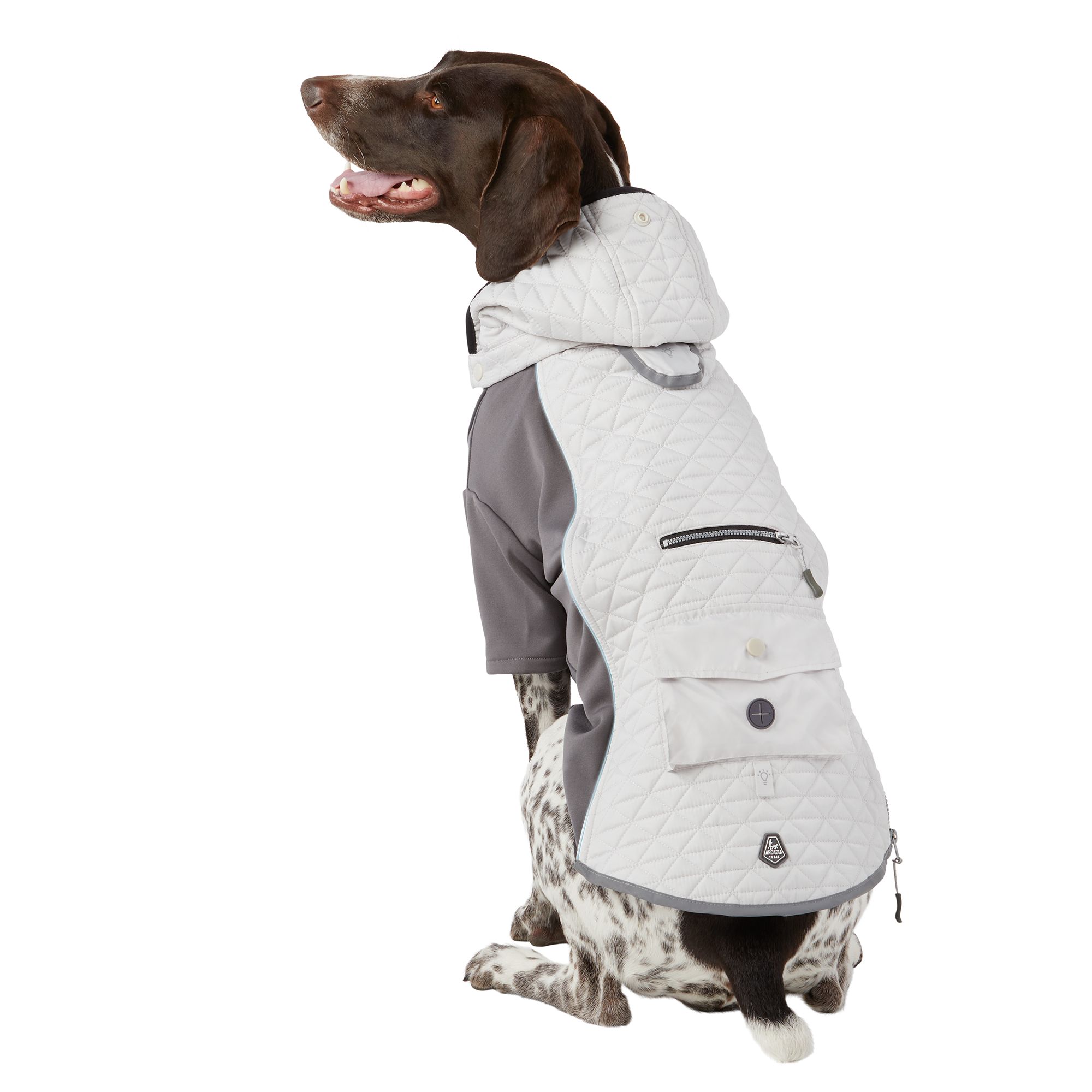 Dog rain best sale jacket petsmart