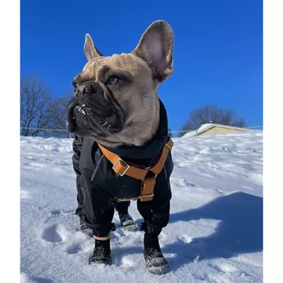 Product Goo-eez Lites All Season Dog Booties