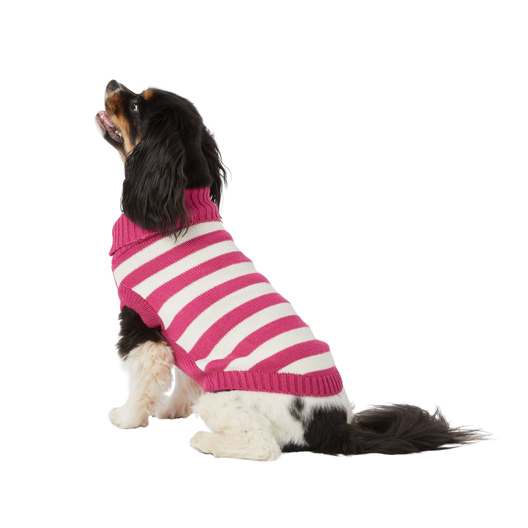 Dog 2024 sweater petsmart