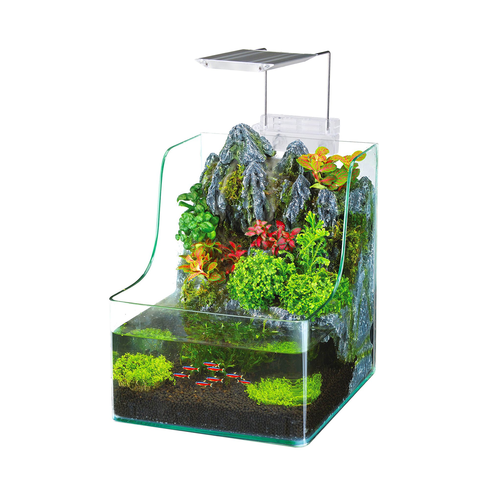  Penn-Plax Rapunzel Aquarium : Pet Supplies