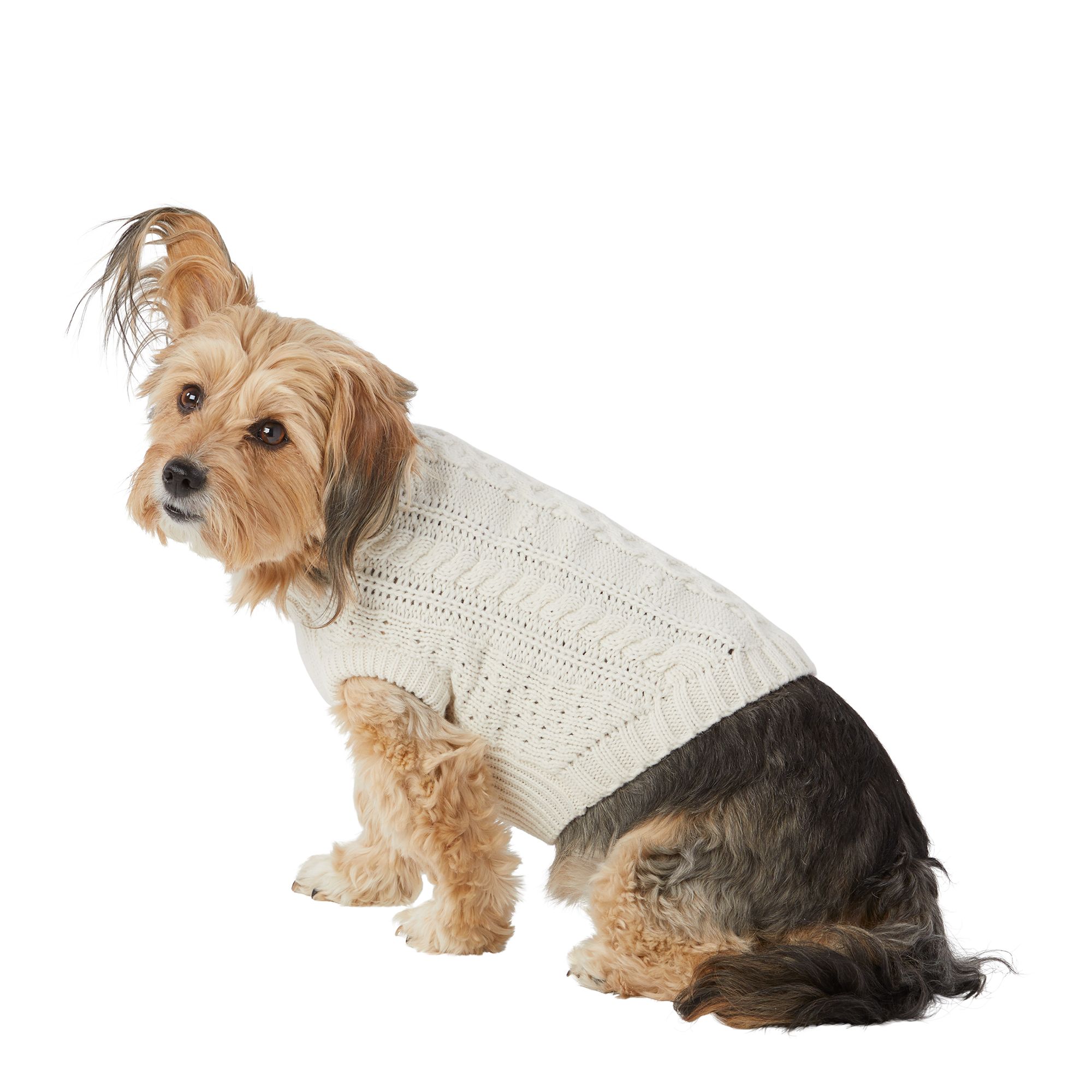 Petsmart dog coats and hot sale sweaters