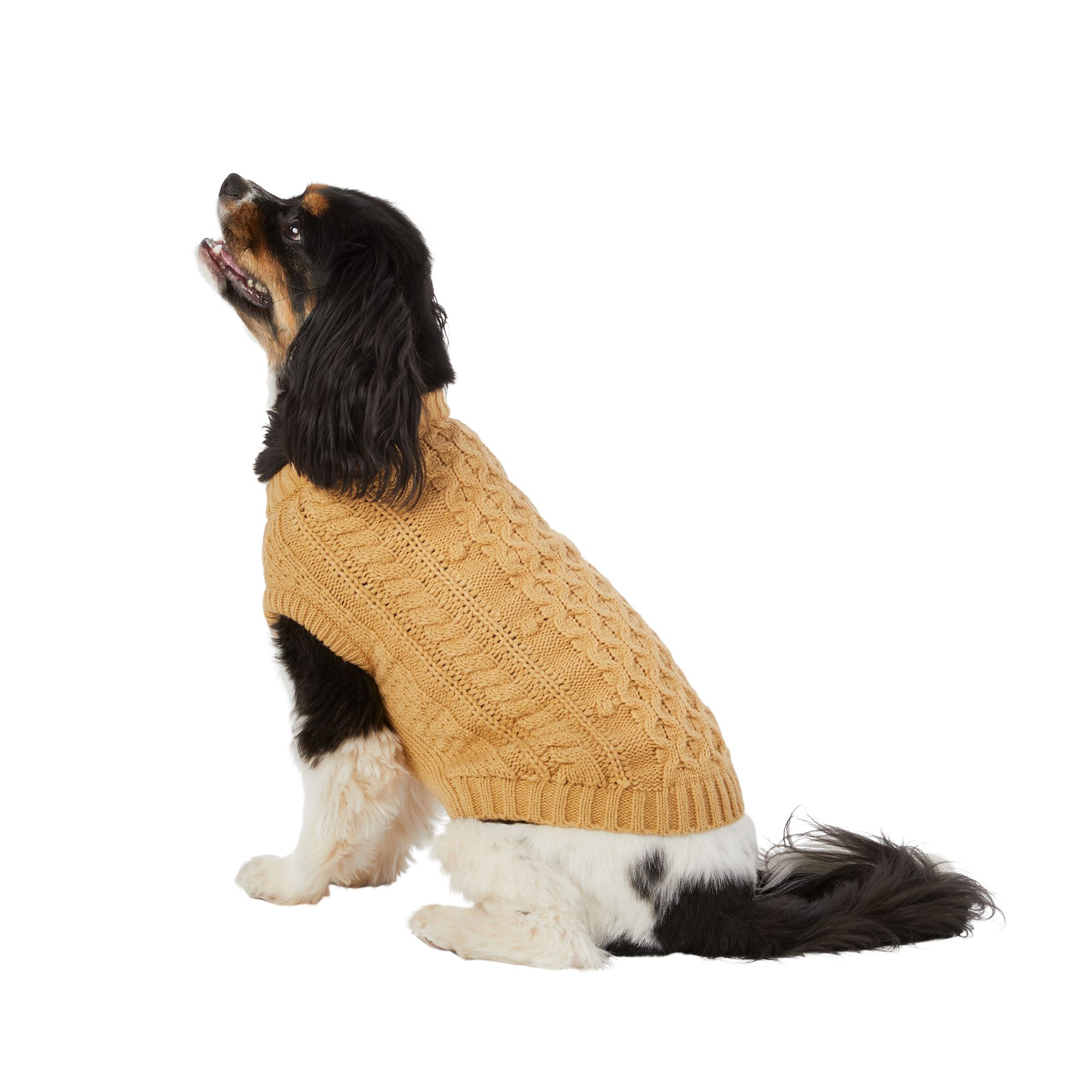 Petsmart dog clearance sweaters