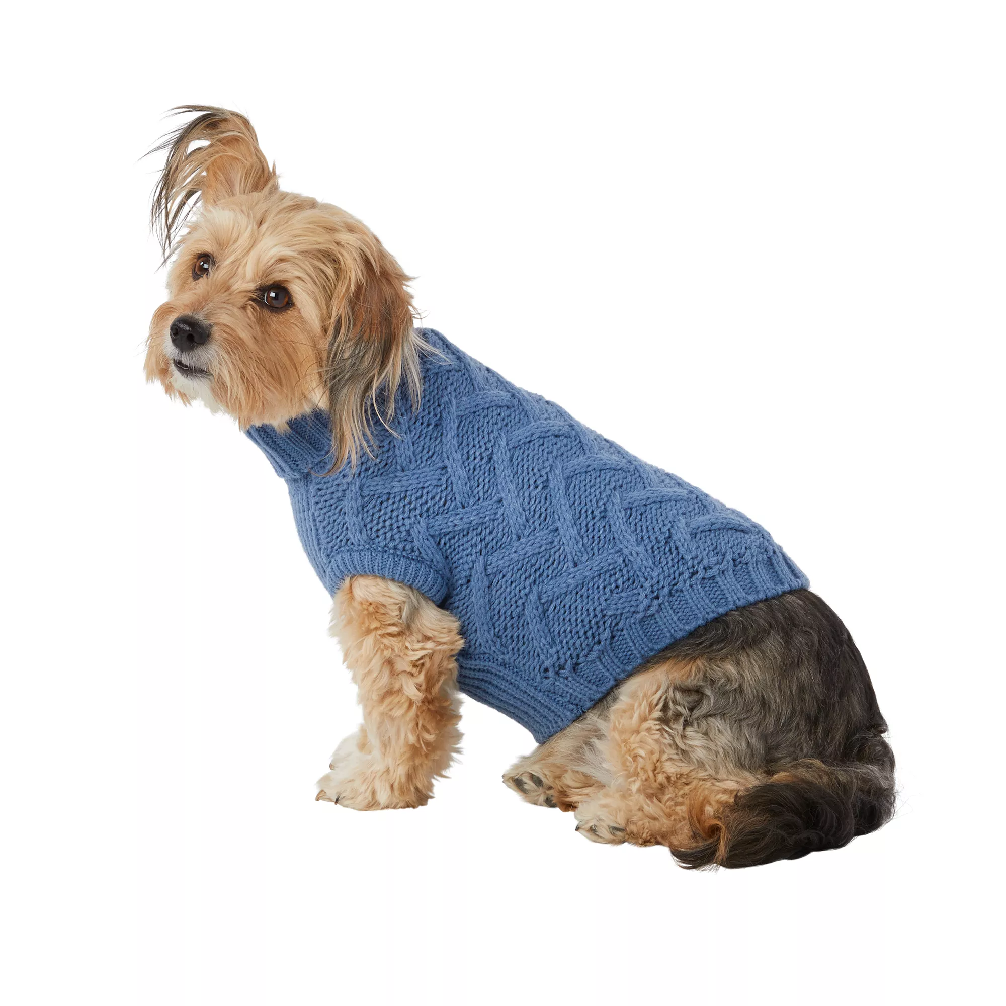 Top Paw® Fashion Dog Sweater