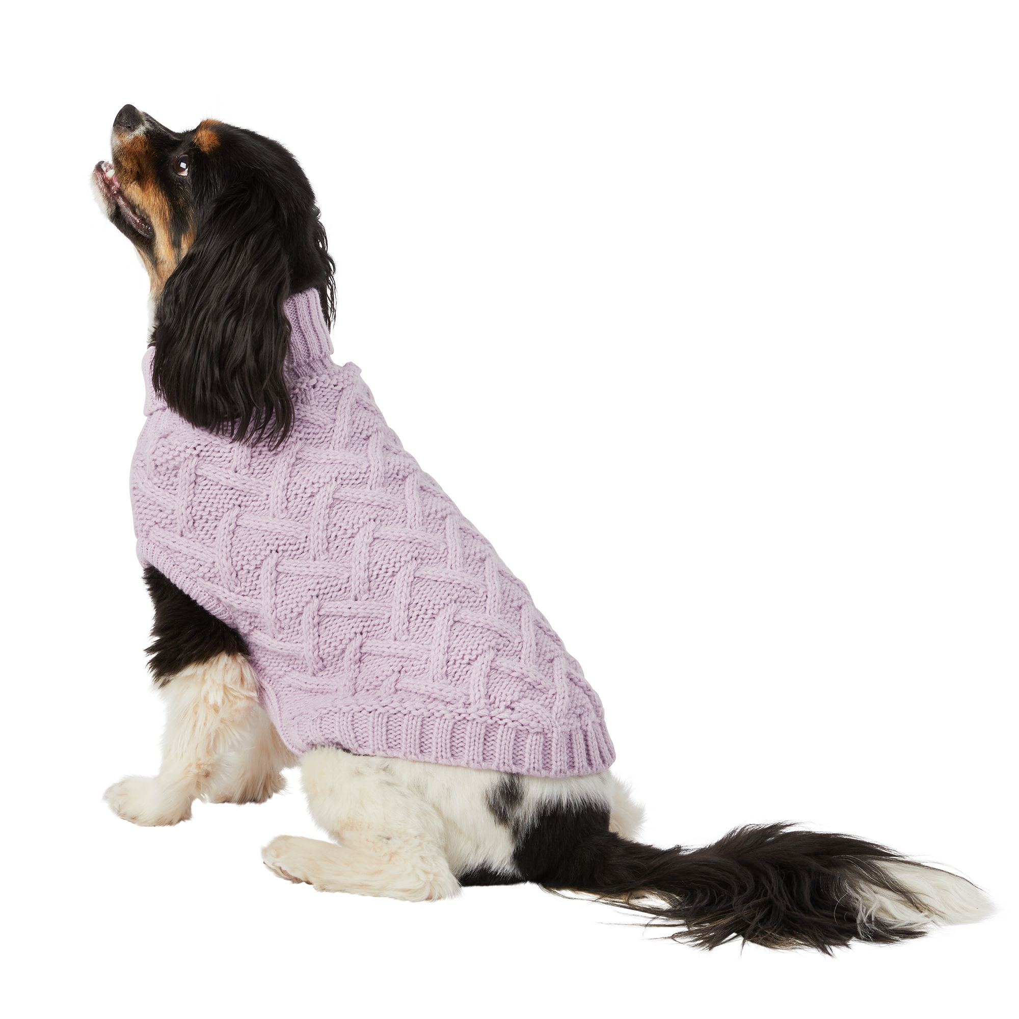 Top paw clearance sweater and coat