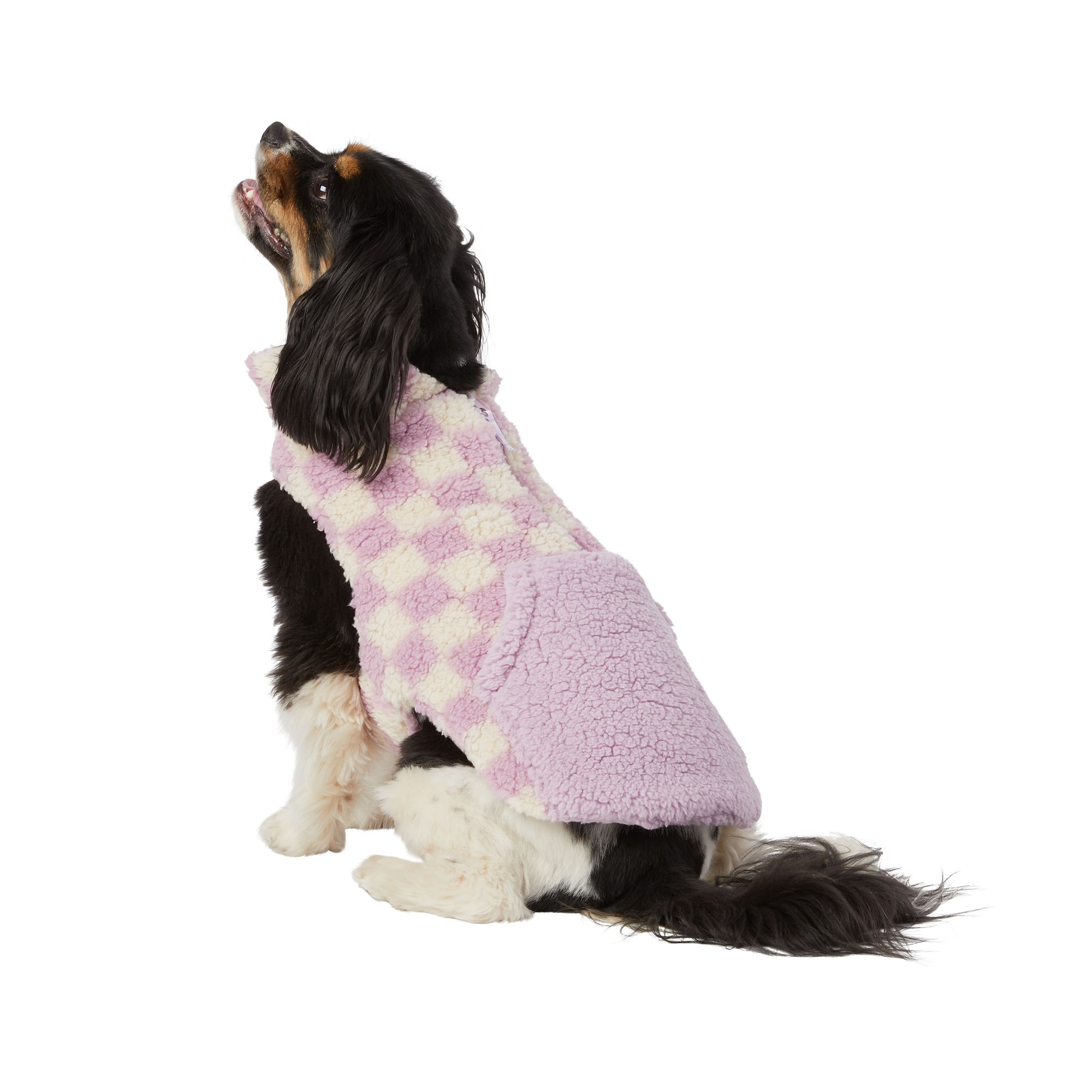 Petsmart on sale dog sweaters