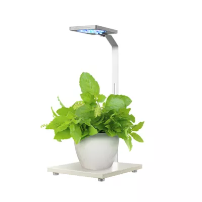 Product Penn-Plax w/Plant Grow Led Light