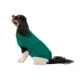Product Top Paw® Value Solid Dog Sweater
