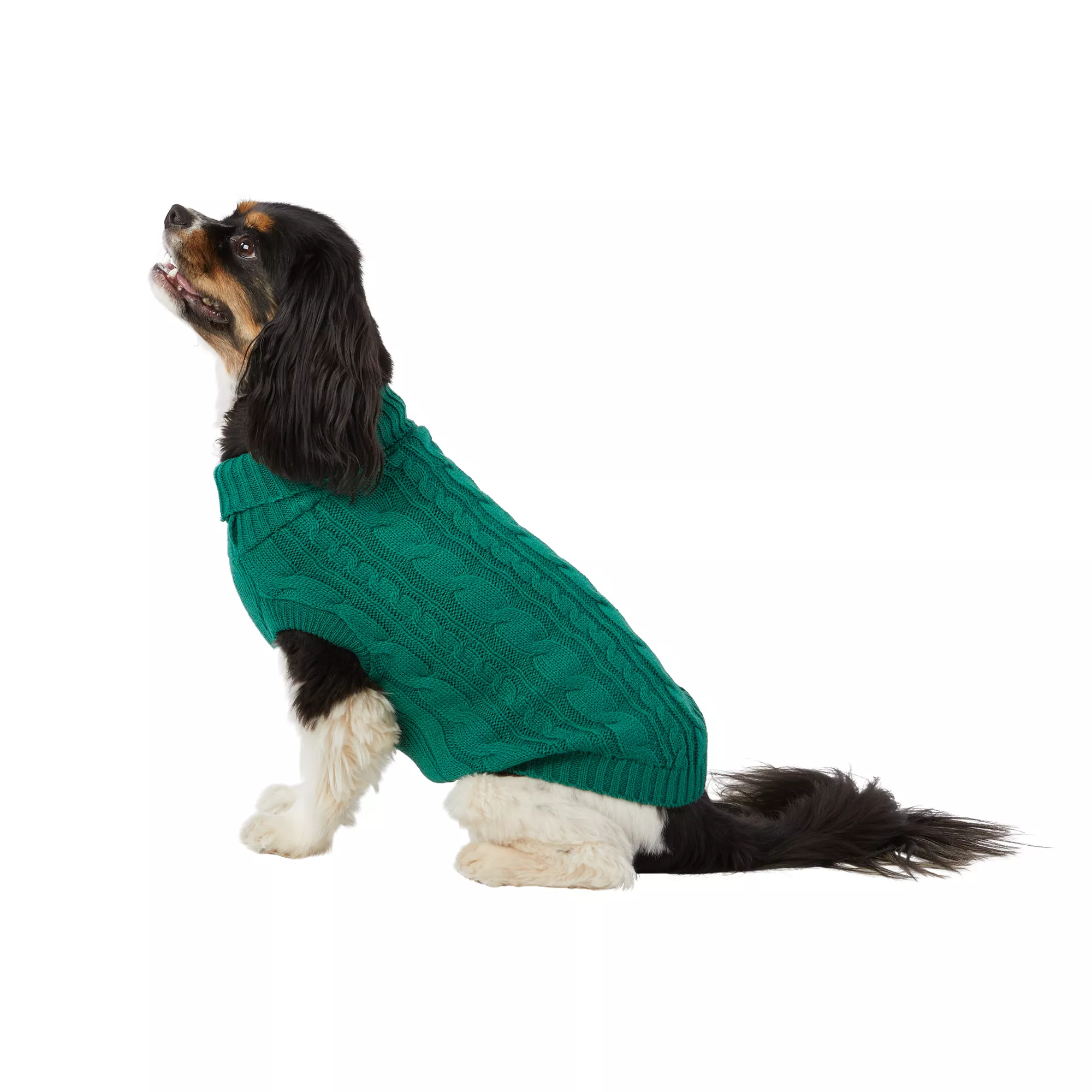 Top Paw® Value Solid Dog Sweater