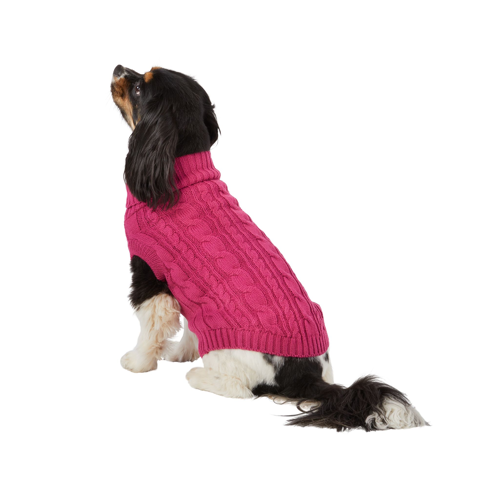 Petsmart pet expressions  Petsmart dog, Small dog clothes, Dog