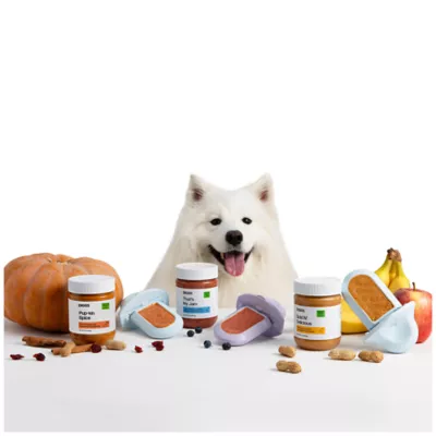 Product Diggs Gold n' Delicious Treat Spread All Life Stage Dog Treat - Peanut Butter