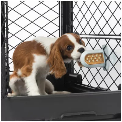 Product Diggs Gold n' Delicious Treat Spread All Life Stage Dog Treat - Peanut Butter