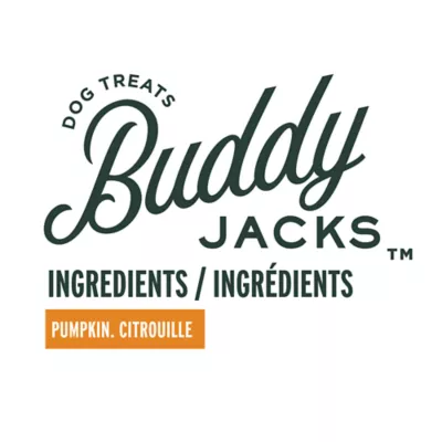 Product Buddy Jack's Air Dried Dog Treats - Pumpkin