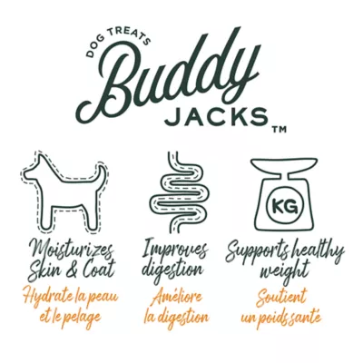 Product Buddy Jack's Air Dried Dog Treats - Pumpkin