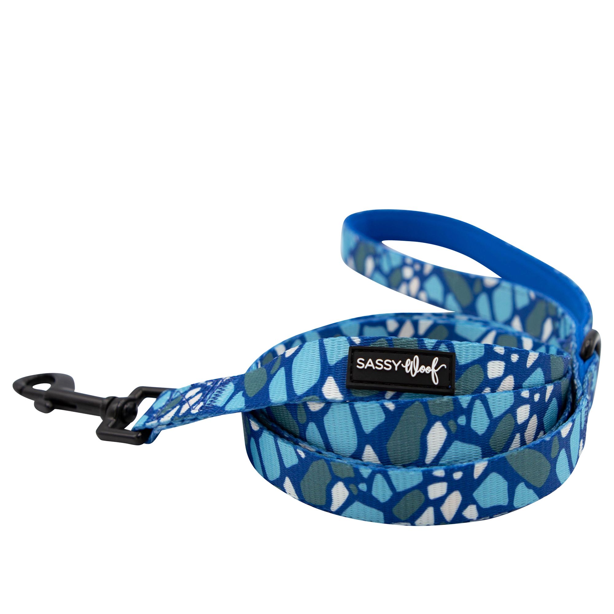 Chew proof hotsell leash petsmart