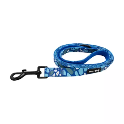 Product Sassy Woof Santorini Dog Leash: 5-ft long